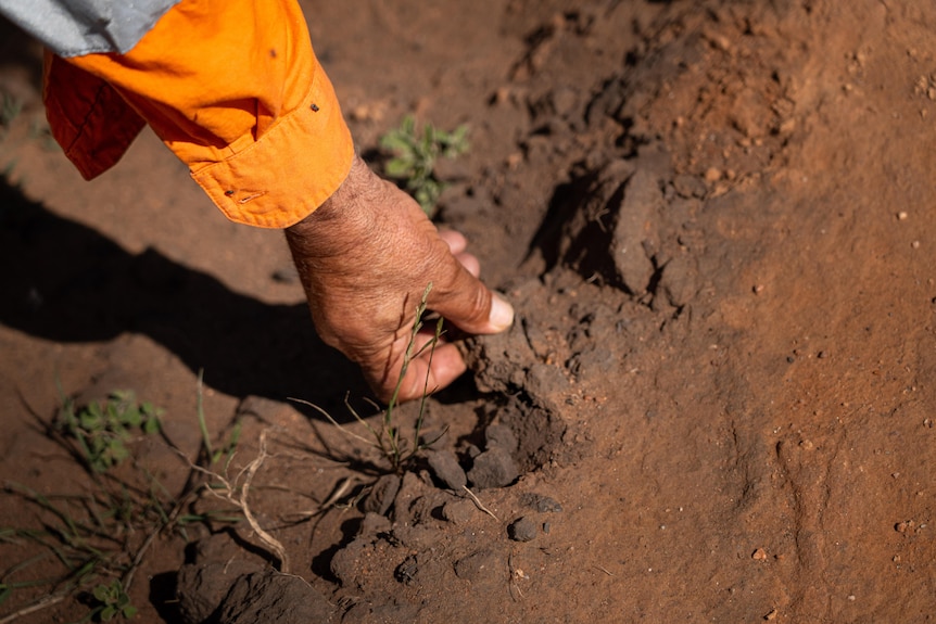 A hand reaches down to the soil.