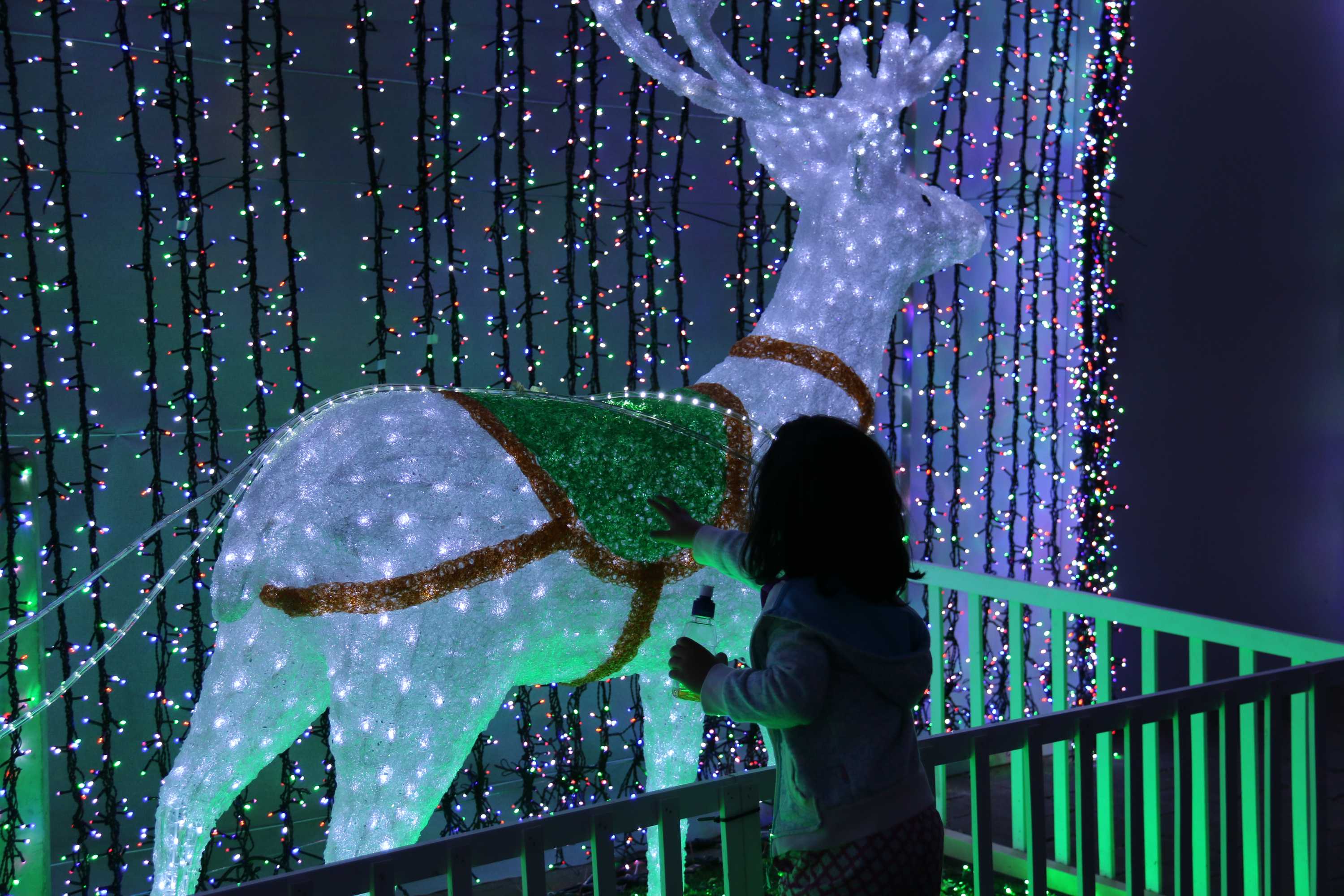 Canberra breaks world record for lights strung on a Christmas tree