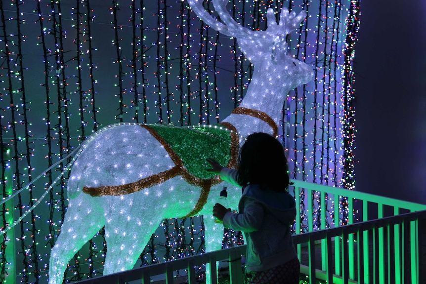 A girl reaches out to touch a reindeer as part of the 12 days of Christmas display.