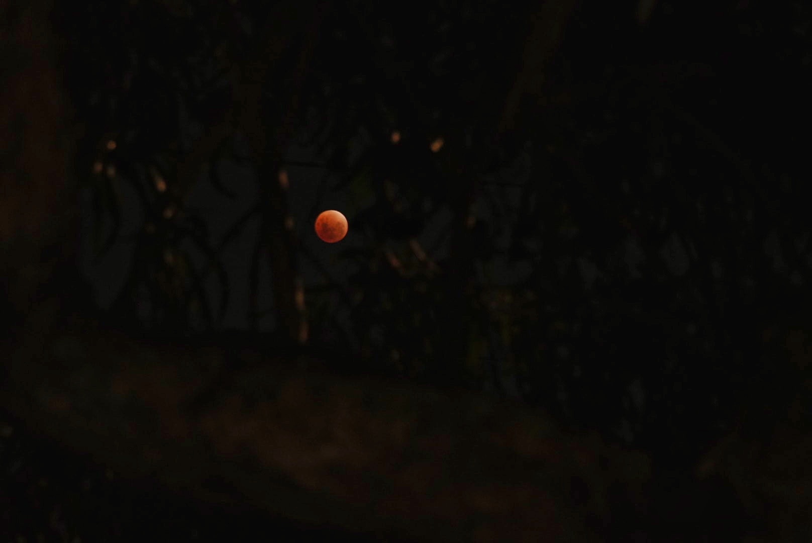 A wide shot of blood moon in the sky.
