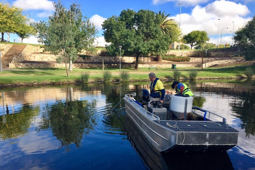 Two men in a boat on the River Torrens as the blue sky reflects in the water.