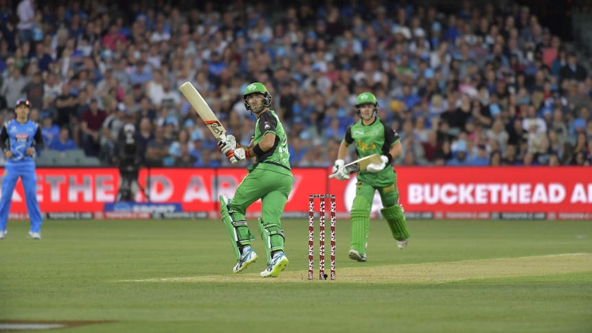 Glenn Maxwell plays a shot for the Melbourne Stars