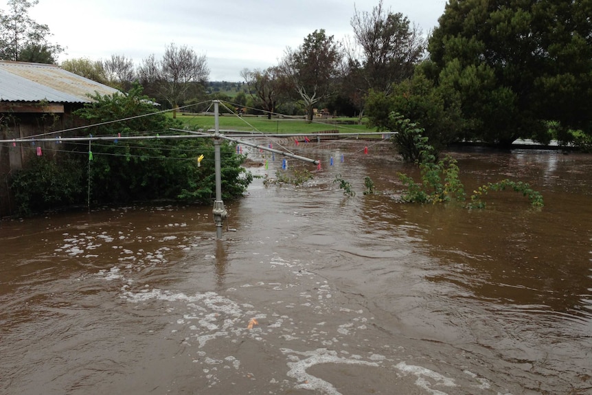 View of floodwaters in Jan Kidd's Launceston back yard