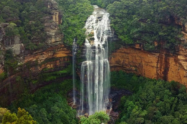 Water falls from a bushy clifftop into a rocky ravine below.