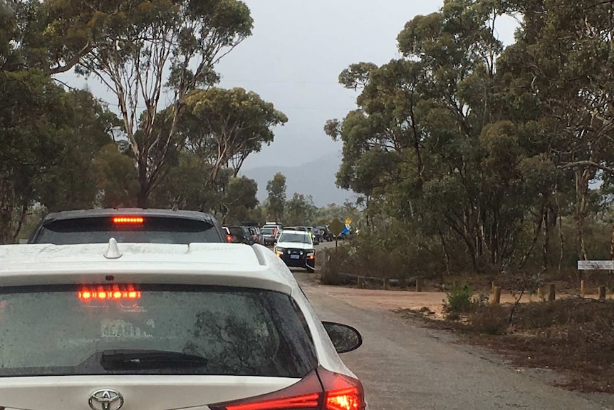 A line of cars stretches right back to the entrance of the Stirling Ranges park's Bluff Knoll carpark.