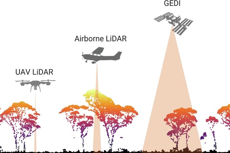 A graphic diagram showing the three different technologies over a woodland.