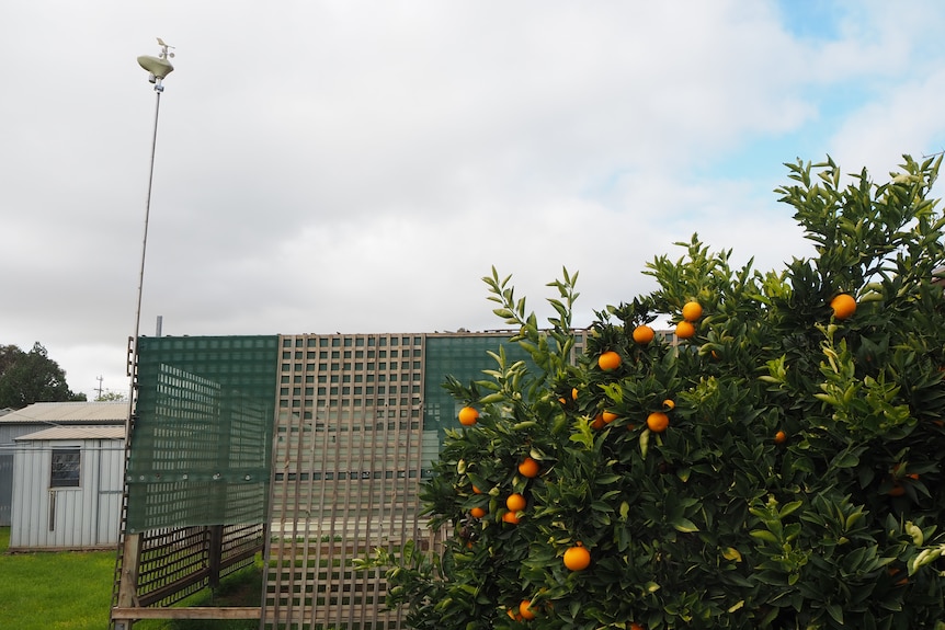 A weather measuring instrument outside Mr Blake's home