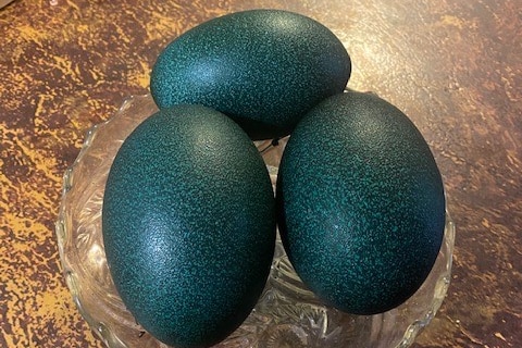 Three large, green emu eggs sitting in a little bowl on a bench top.