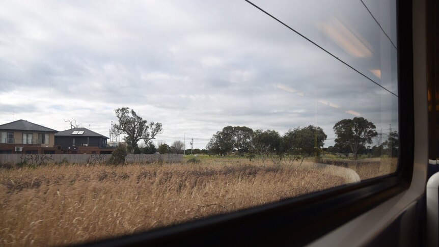 The view outside a suburban train window of a paddock and some houses in Melbourne's outer south-east.
