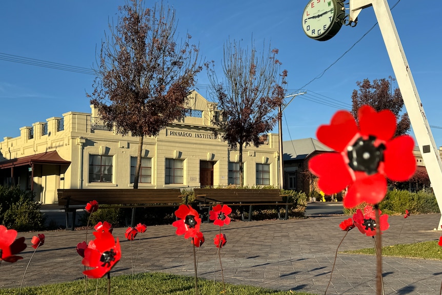 Metal poppies was one of the art projects in front of Pinnaroo Institute.