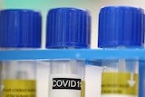 Three test tubes, one labelled COVID-19