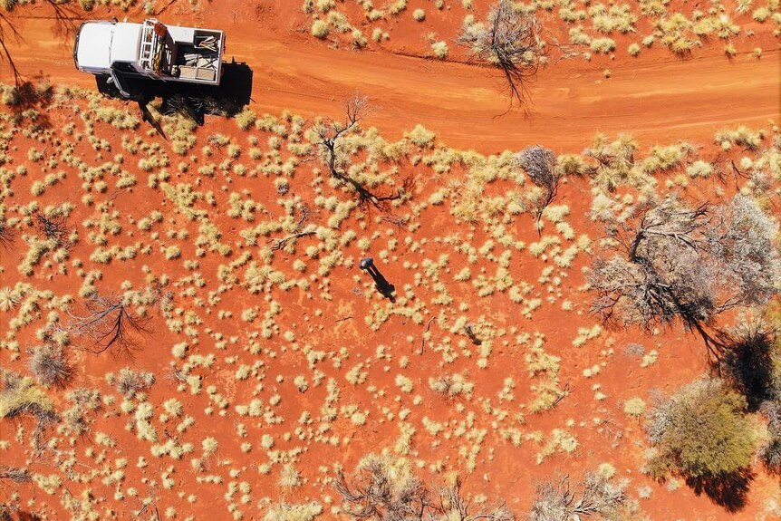 A drone photo of desert dirt, spinifex and a ute.