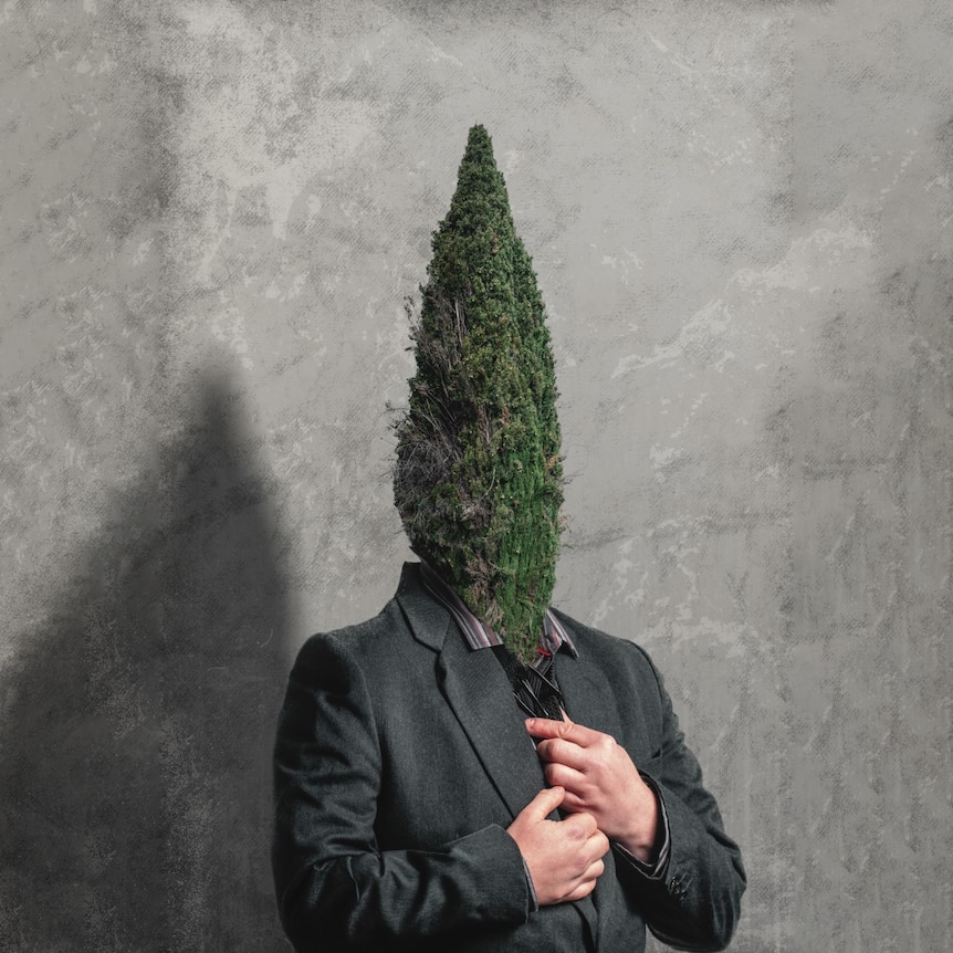 An artwork of a man with a tree for a face. 