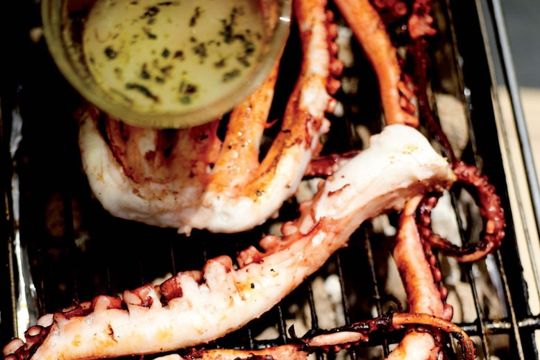 Barbequed octopus