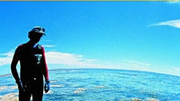 Diver inspects reef damage [File photo]