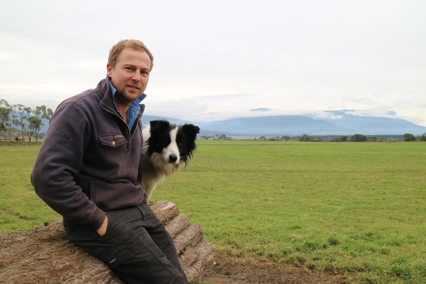 a farmer sits on a log in the middle of a paddock with his dog