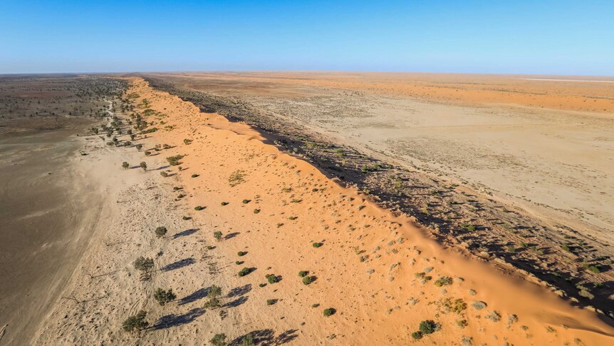An aerial view of a sweeping expanse of a red dune, spotted with trees, and a big blue sky above.