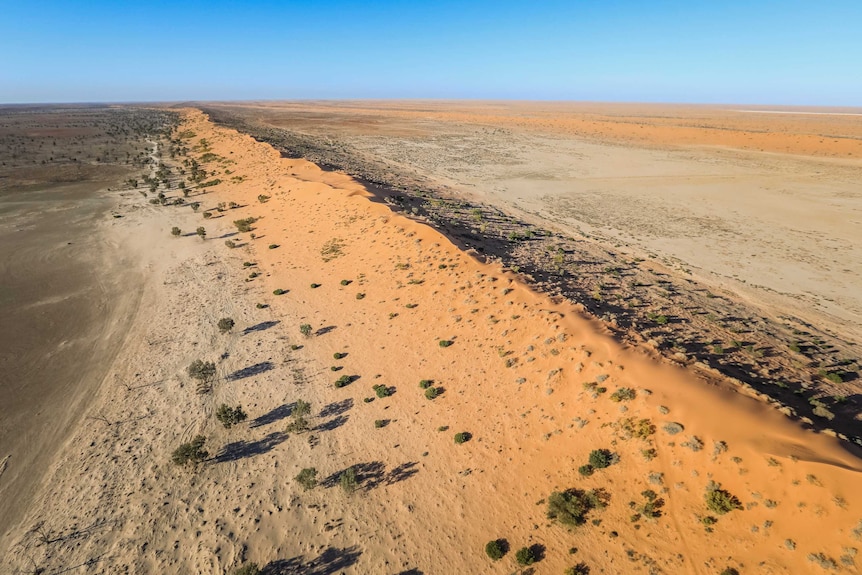 An aerial view of a sweeping expanse of a red dune, spotted with trees, and a big blue sky above.