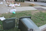 Garbage bin