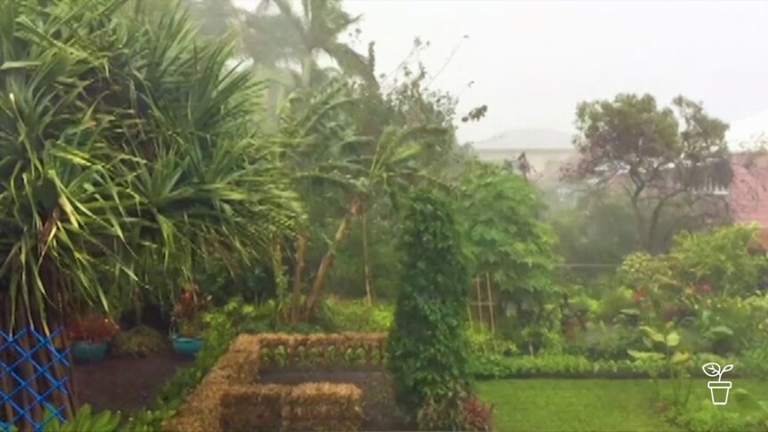 Garden with torrential rain and strong winds