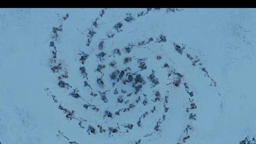 Bodies in a spiral pattern in the snow from HBO's Game of Thrones