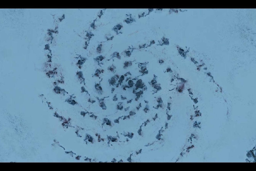 Bodies in a spiral pattern in the snow from HBO's Game of Thrones