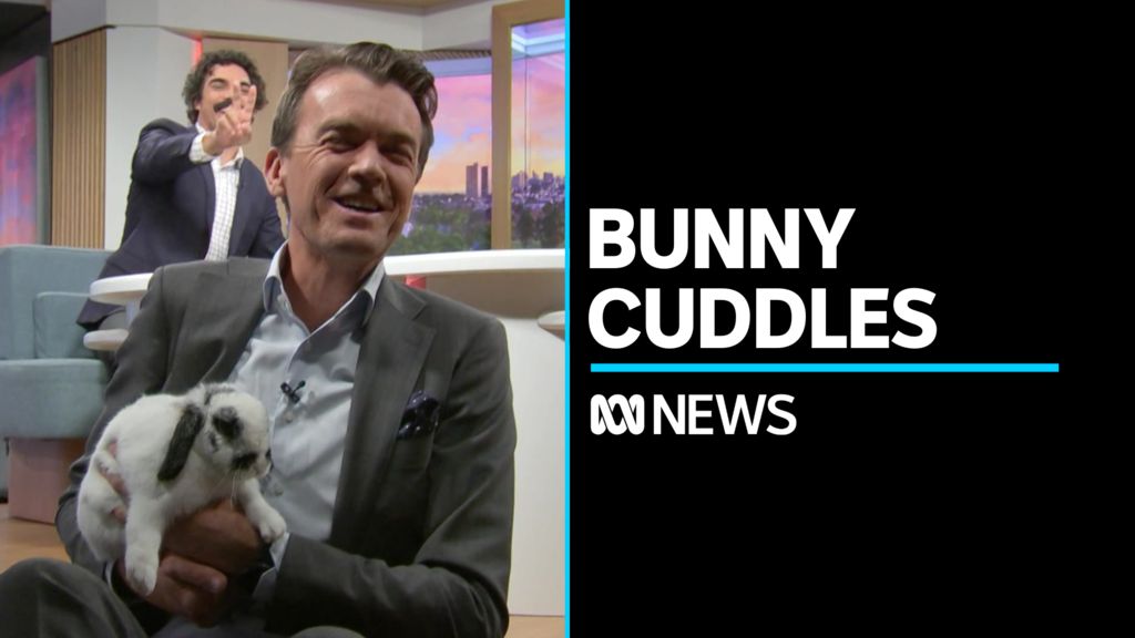 Michael Rowland found some bunny to love - ABC News