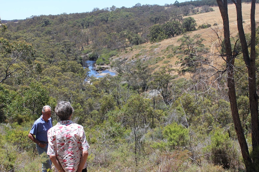 The "Kalgan Canyon" on the Whittems property in Napier