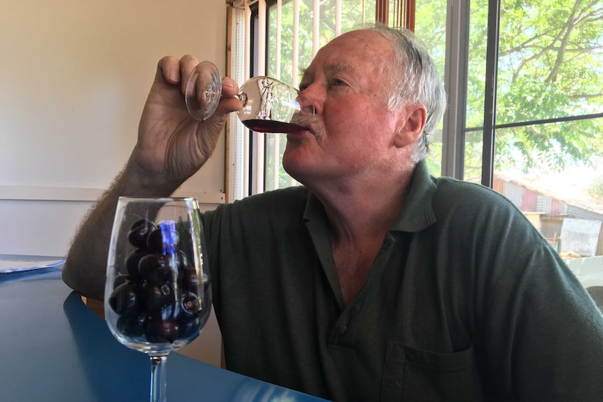 Winemaker Terry Mulligan sampling a glass of cherry wine with a glass of cherries in front of him.
