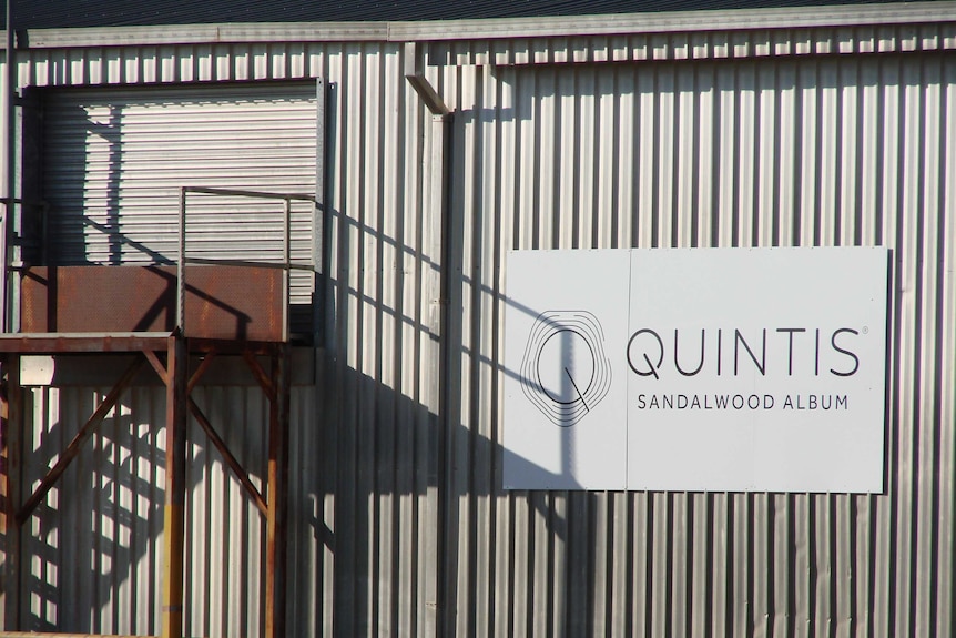 A sign that reads "Quintis Sandalwood Album" on the side of a shed.