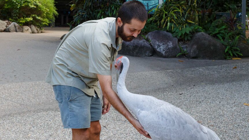 James Biggs and one of his favourite birds, Billy the brolga, share a moment as the zoo prepares to close its doors.