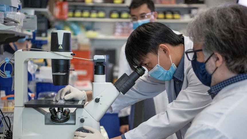 Researcher Xiaodong (Ethan) Lieu looking down a microscope