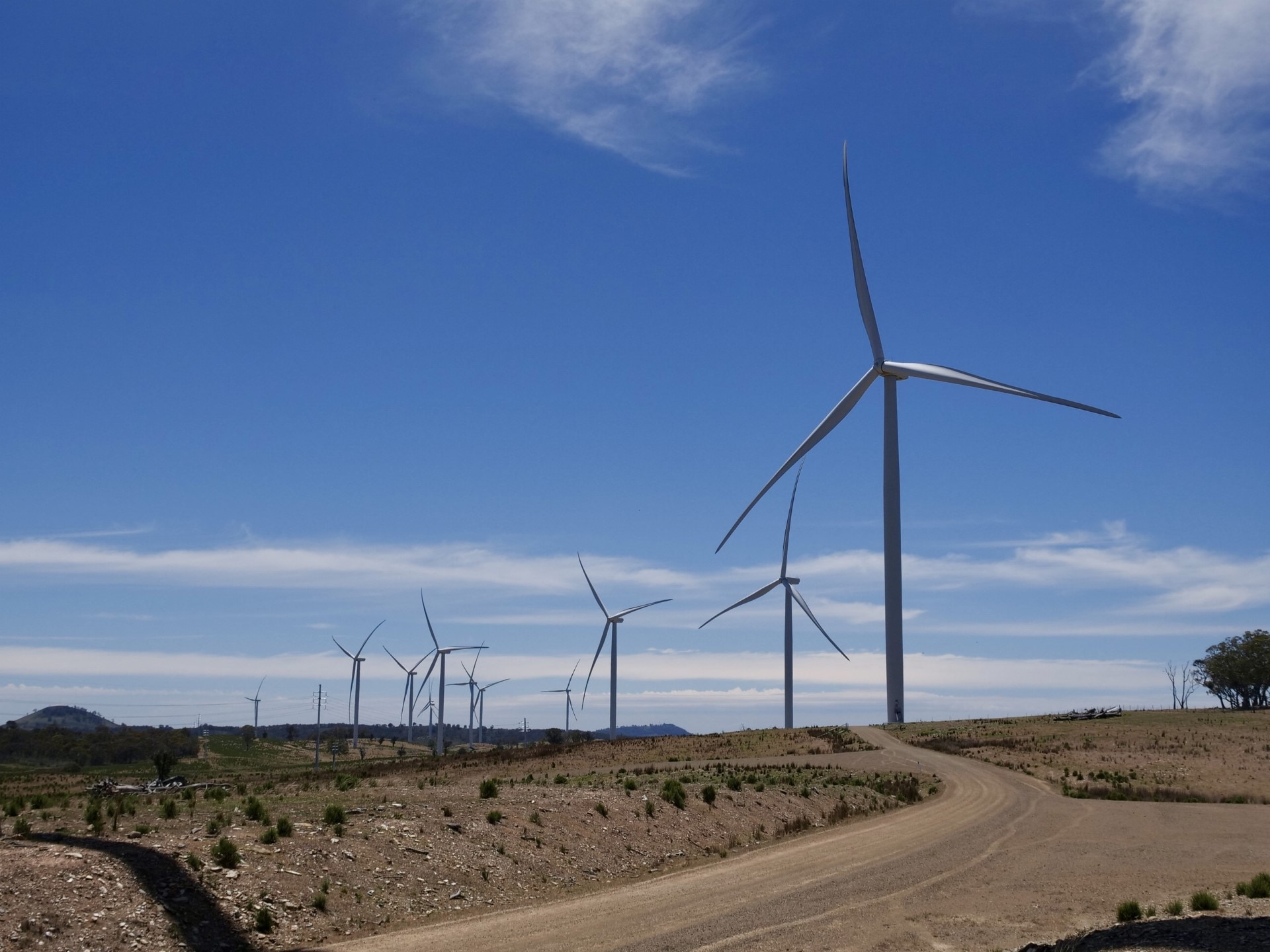 A wide-shot of a series of wind turbines 