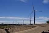 A wide-shot of a series of wind turbines 