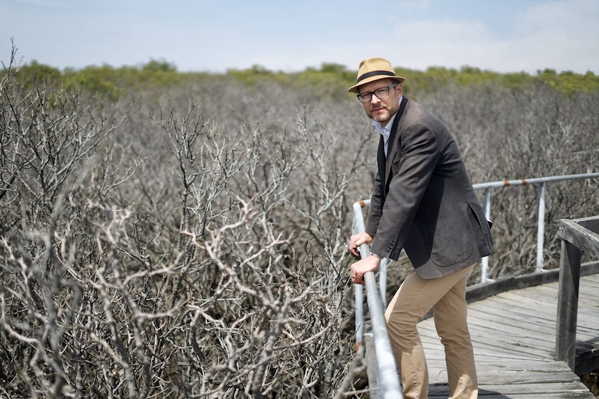 A man wearing a hat leans on a walkway rail with dead mangroves in the background