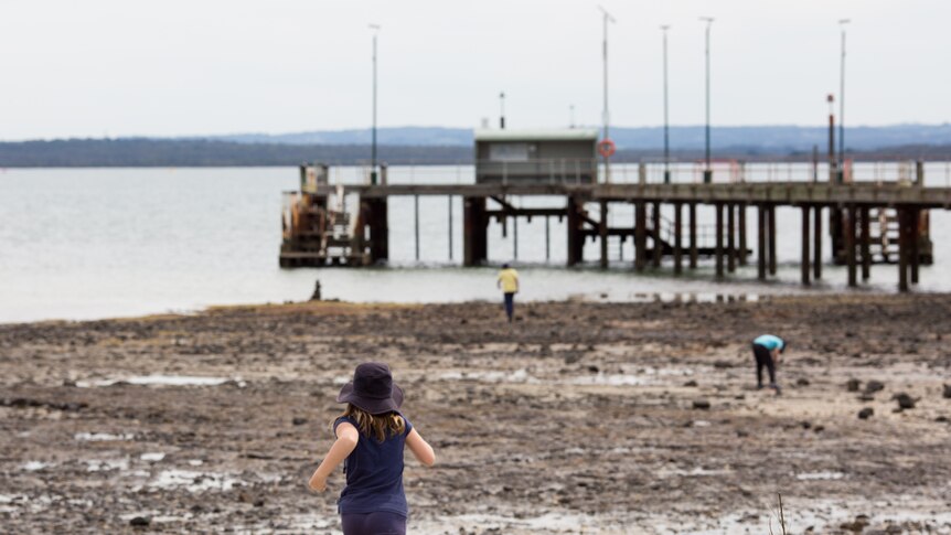 A girl runs towards the beach, a jetty in the background.
