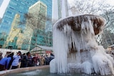 People pose for photographs in front of a frozen water fountain