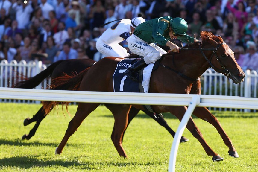 Capitalist races clear to win the Golden Slipper