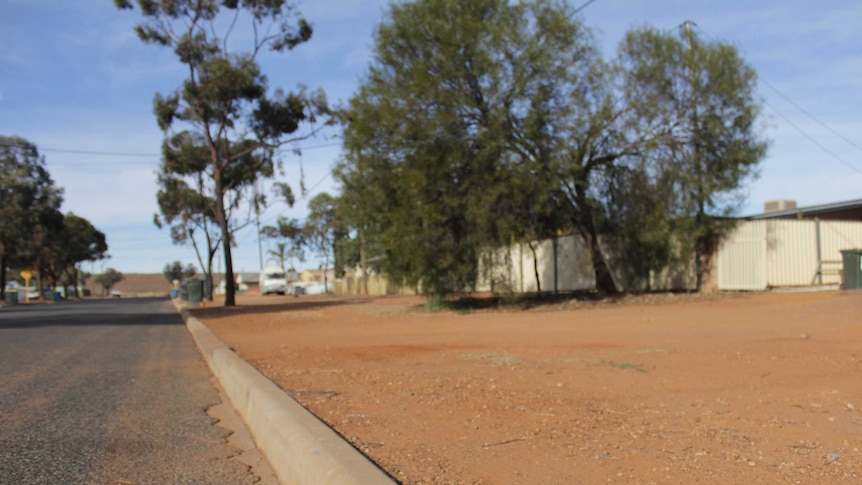 Image of the verge of a residential street in Boulder, Western Australia.