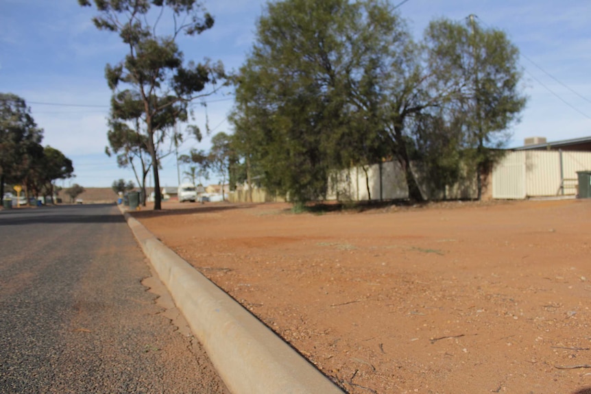 Image of the verge of a residential street in Boulder, Western Australia.