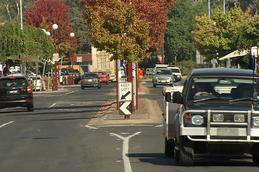 Cars drive up and down a street lined with trees with autumn coloured leaves.