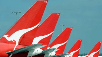 File photo: Qantas planes (AAP: Dean Lewins)