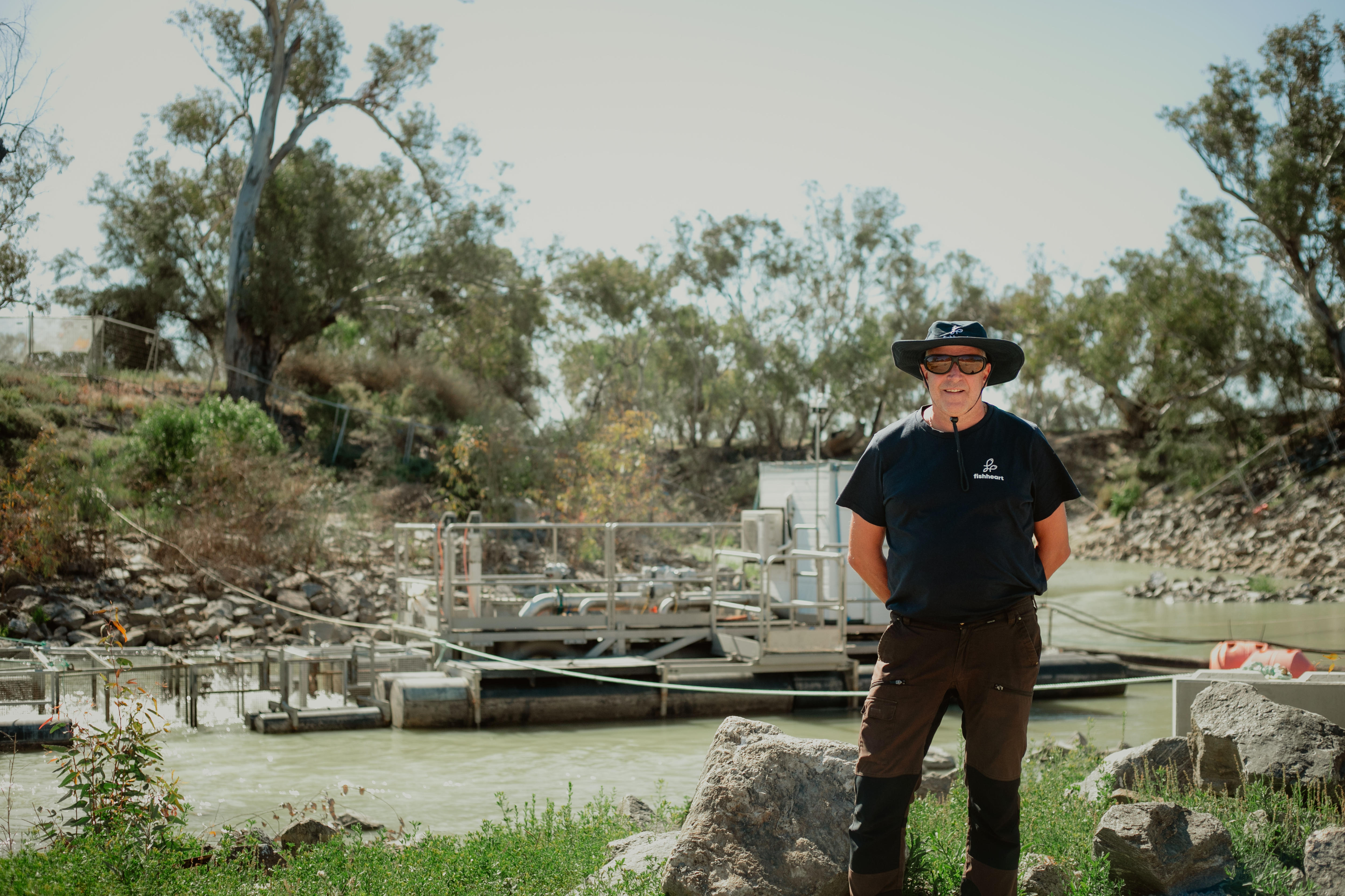 Hopes fish passageway will prevent mass kill ahead of hot, dry summer