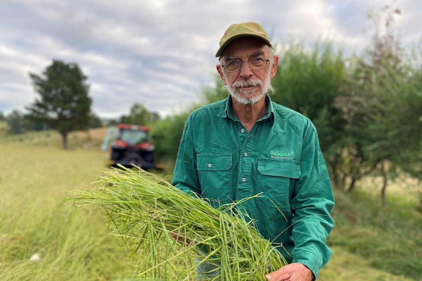 A man stands holding cut lovegrass wearing a green shirt and cap. There's a tractor in the background