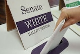 A close-up image of a woman's hand putting a ballot paper into a Senate ballot box.