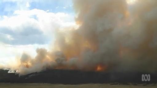 A huge plume of bushfire smoke