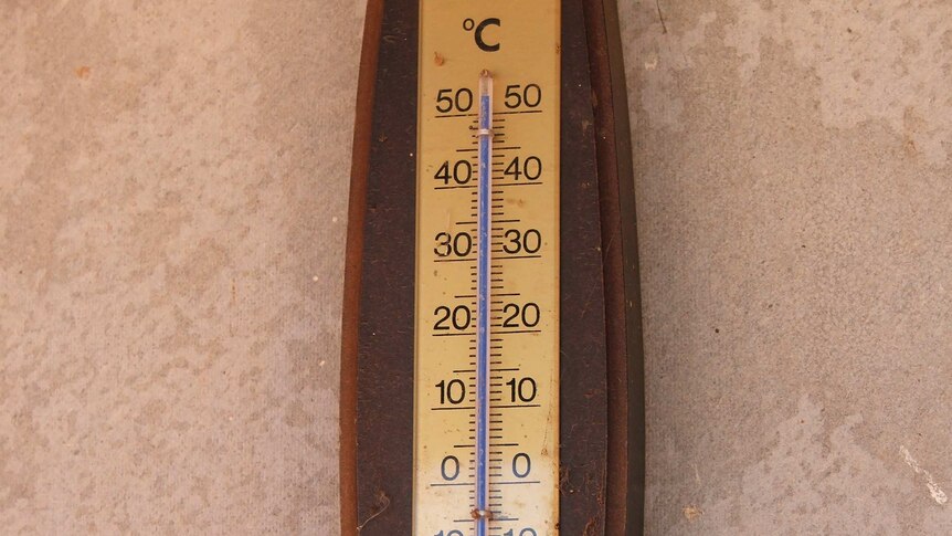 Temperature tops 50 degrees at Meka Station
