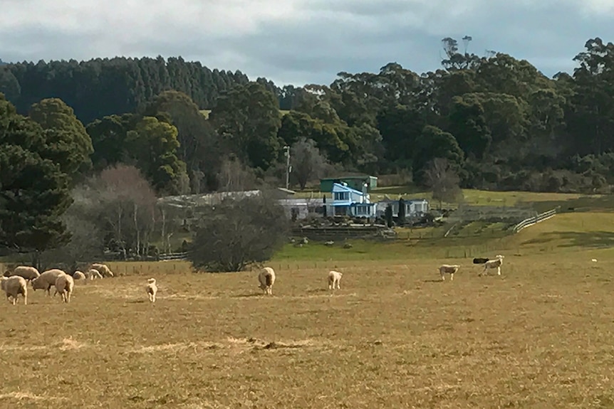 The Beerepoot family property Melita Park.