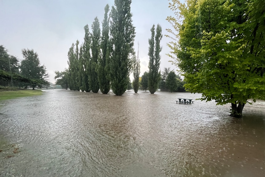 A flooded park