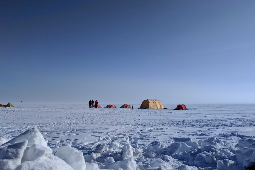 Tents in the snow